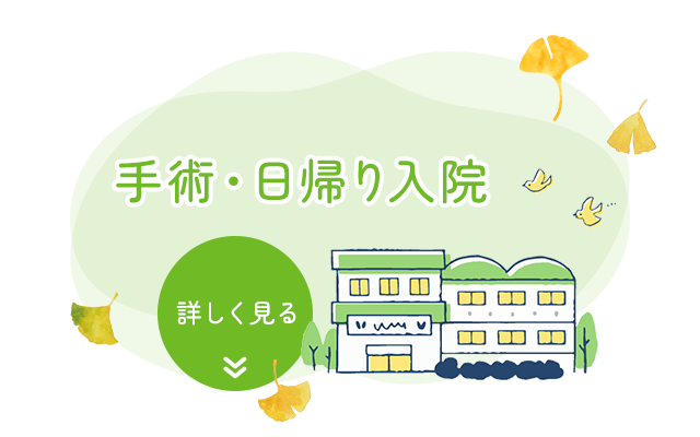 手術・日帰り入院